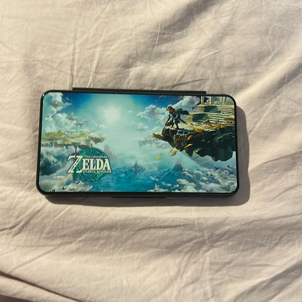 Nintendo Switch Zelda games case